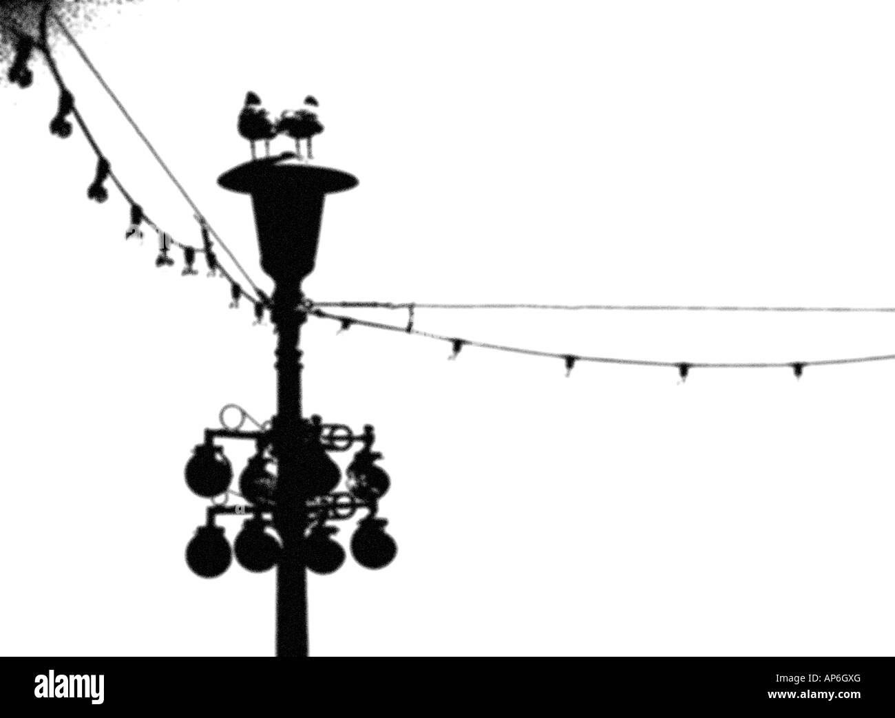 Mare lampada seagull luce parafango calma graphic giovane illustrazione tranquillo architettura design Foto Stock