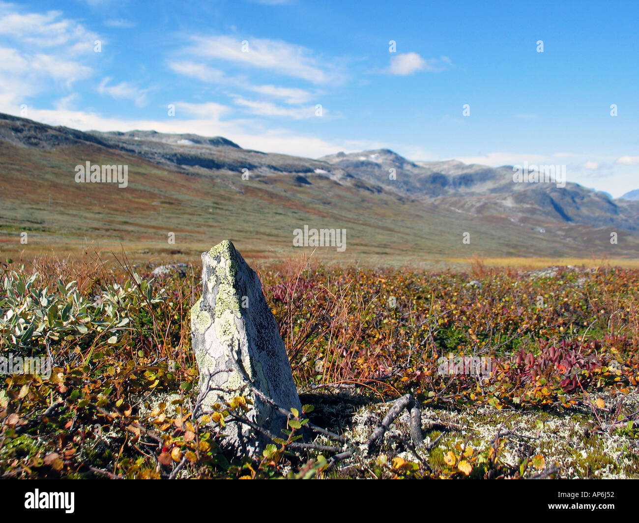 Rock in piedi fuori sul Slettefjell, Vladresflya, durante l'estate Indiana Jotunheimen, Norvegia Foto Stock