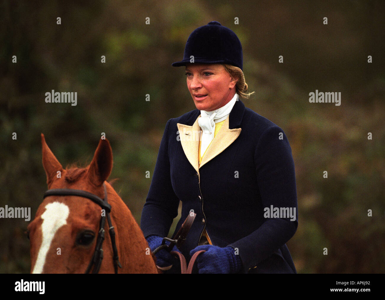 La Principessa Michael di Kent equitazione con il BEAUFORT HOUNDS vicino a Tetbury GLOUCESTERSHIRE REGNO UNITO Foto Stock