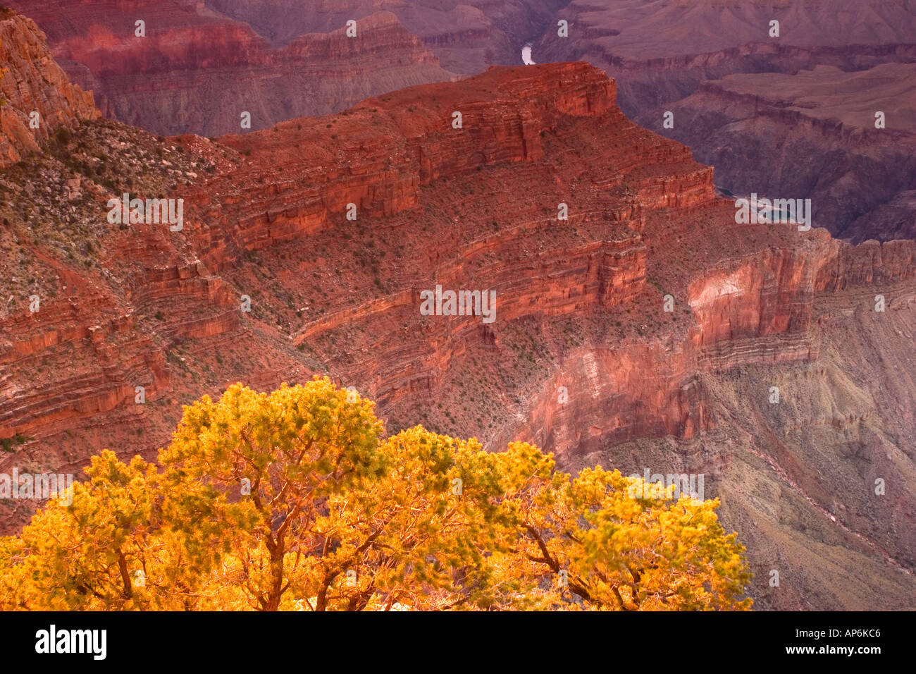 Il Grand Canyon, Hopi Point Foto Stock