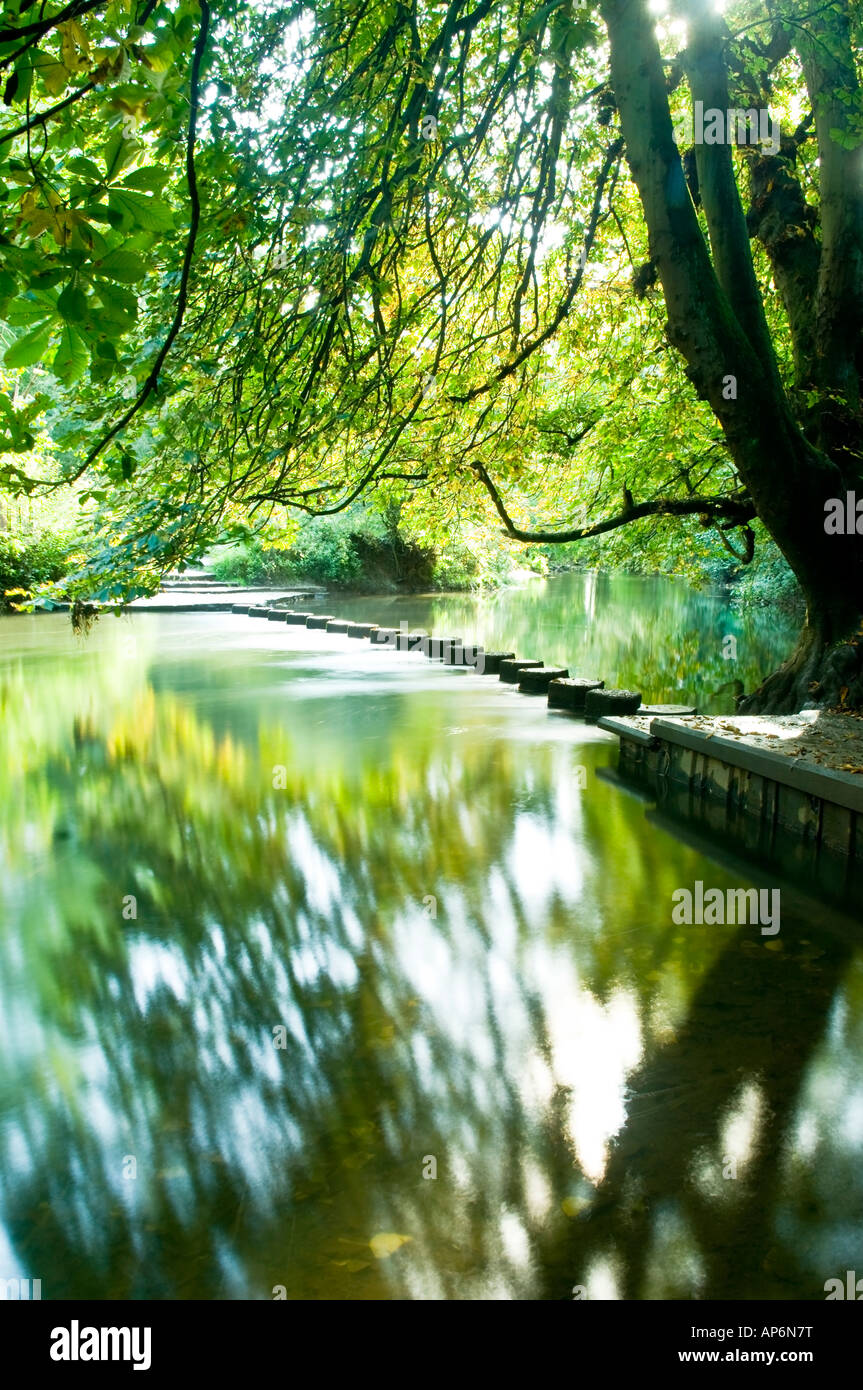 Le pietre miliari sul Fiume Mole vicino a Box Hill Dorking Surrey in Inghilterra REGNO UNITO Foto Stock