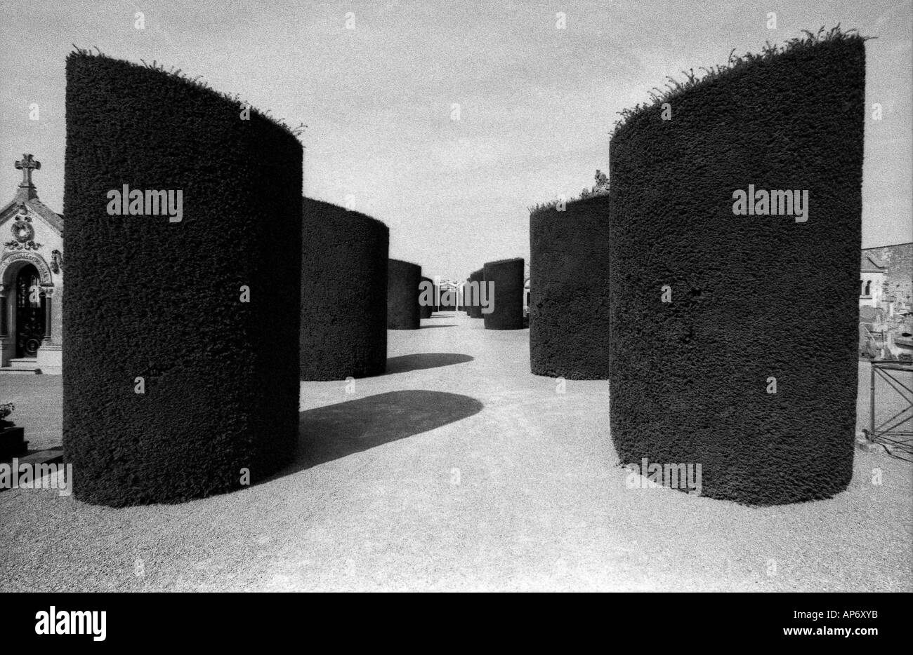 Simmetrici filari di siepi tagliate per formare percorso nel cimitero, portando il tuo occhio verso la distanza nel cimitero francese Foto Stock