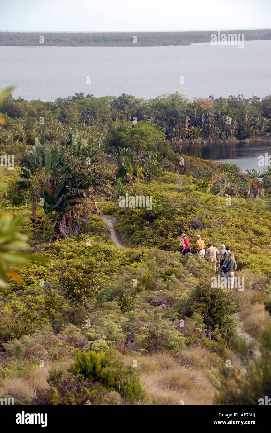 I turisti a piedi attraverso Palmarium riserva privata, Lago Ampitabe, Est del Madagascar Foto Stock