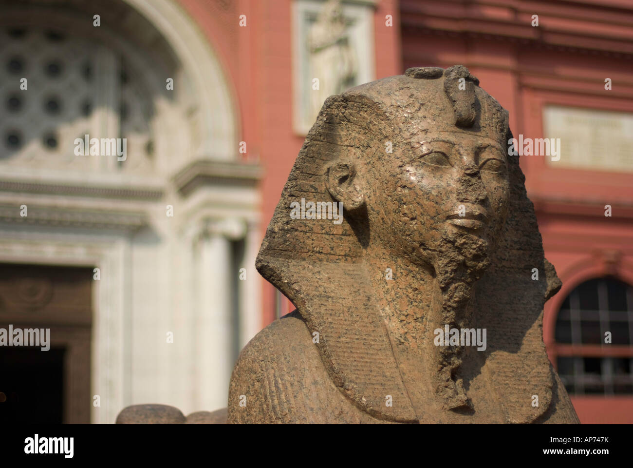 Sphinx al di fuori delle Antichità Egizie Museum, il Cairo Foto Stock