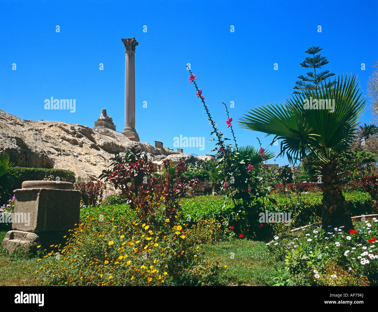 Pilastro Pompeys Alessandria d Egitto in Nord Africa Foto Stock