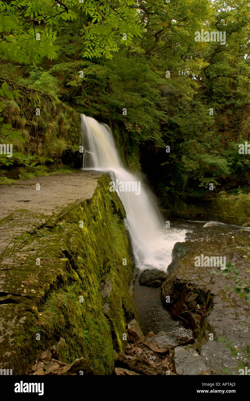 Clungwyn superiore cade Neath Valley Foto Stock