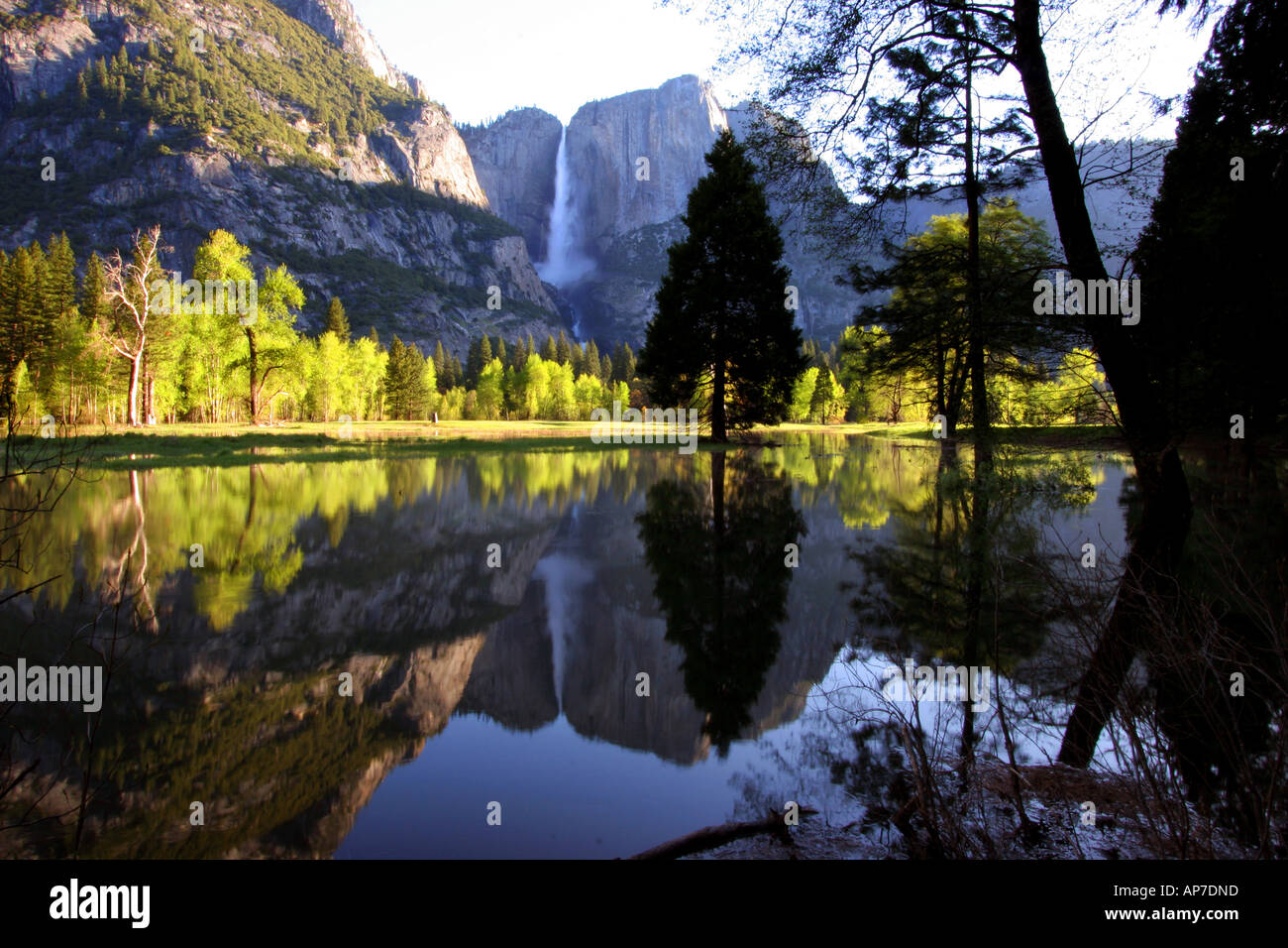 Yosemite Falls riflessione, il parco nazionale di Yosemite Foto Stock