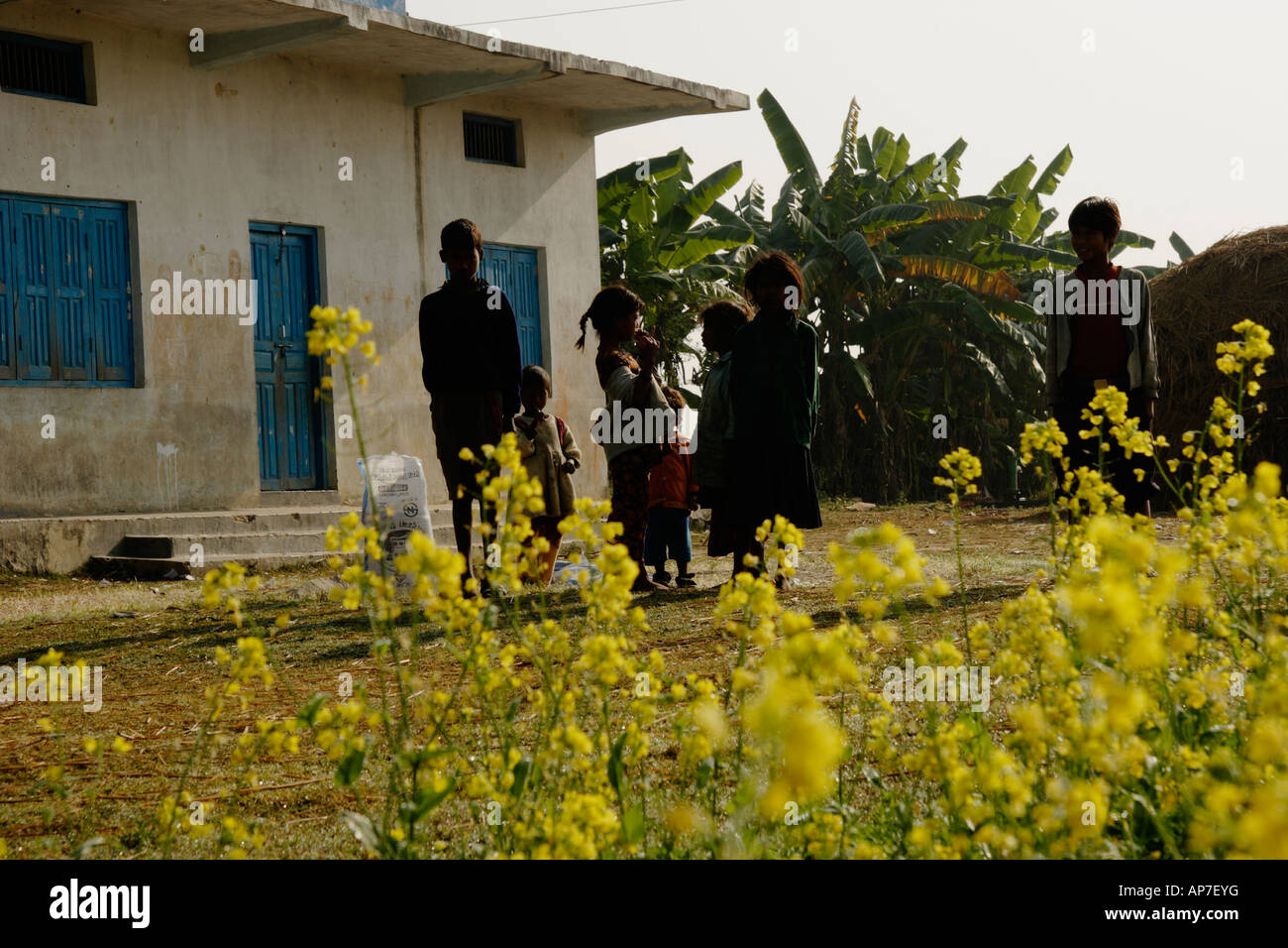 Gruppo di bambini tra loro scuola e campi di senape Banke district Tarai Nepal Foto Stock