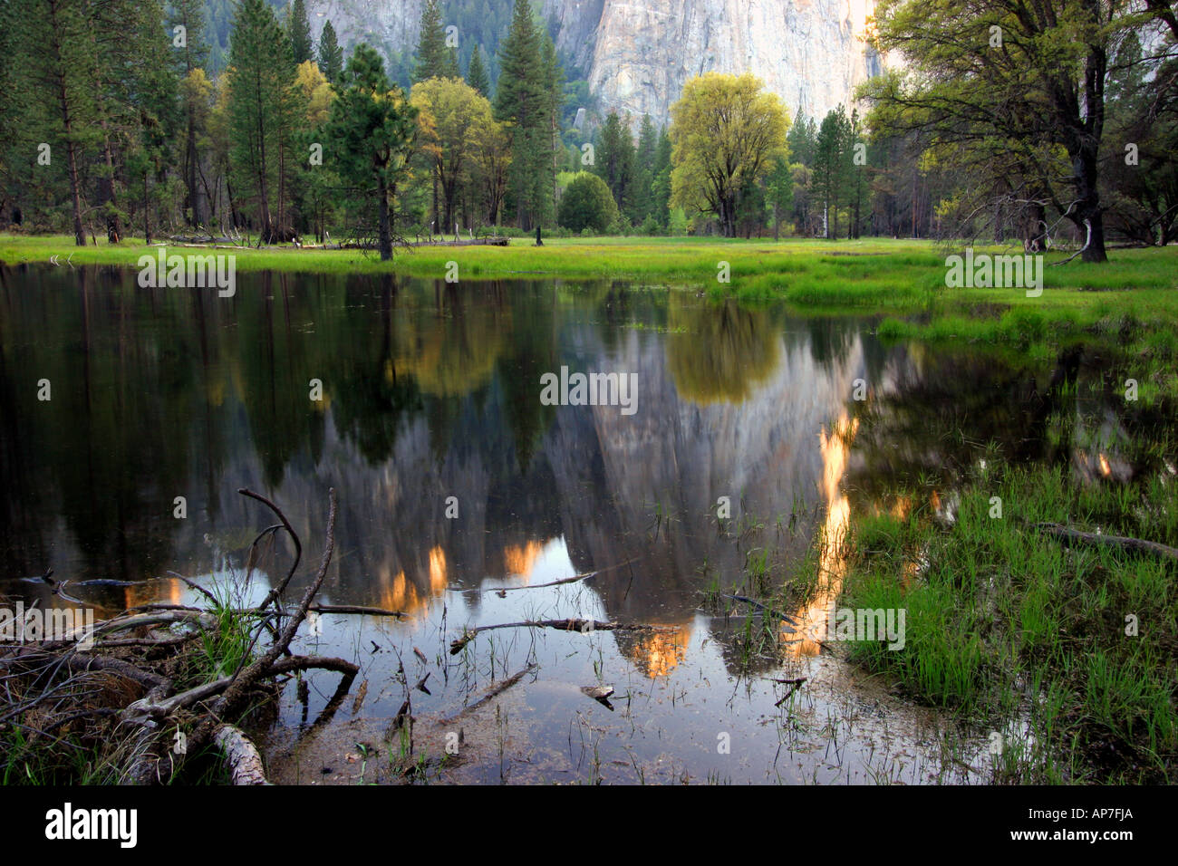 Cathedral Rocks riflessione, il parco nazionale di Yosemite Foto Stock