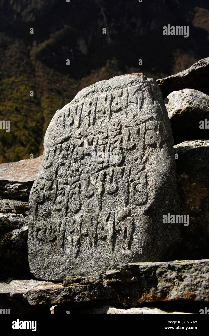 Il Tibetano iscrizioni su una pietra di mani Foto Stock