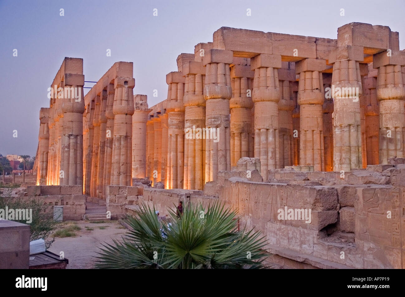 Illuminazione drammatica al Tempio di Luxor, Tebe, Alto Egitto, Medio Oriente. DSC 4623 Foto Stock