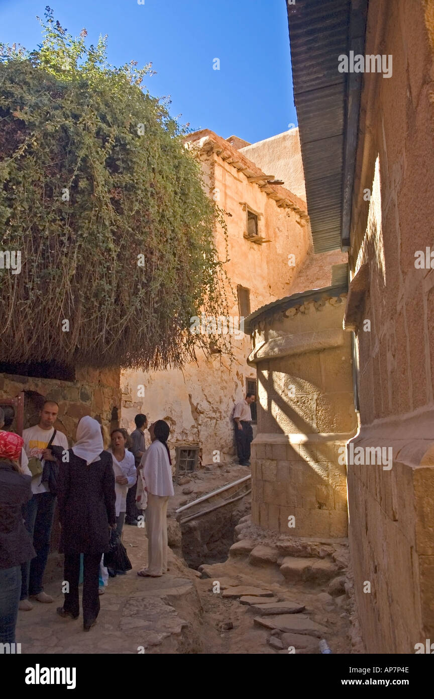 Il roveto ardente, all'interno del Monastero di Santa Caterina, Sinai, Egitto, Medio Oriente. DSC 4719 Foto stock - Alamy