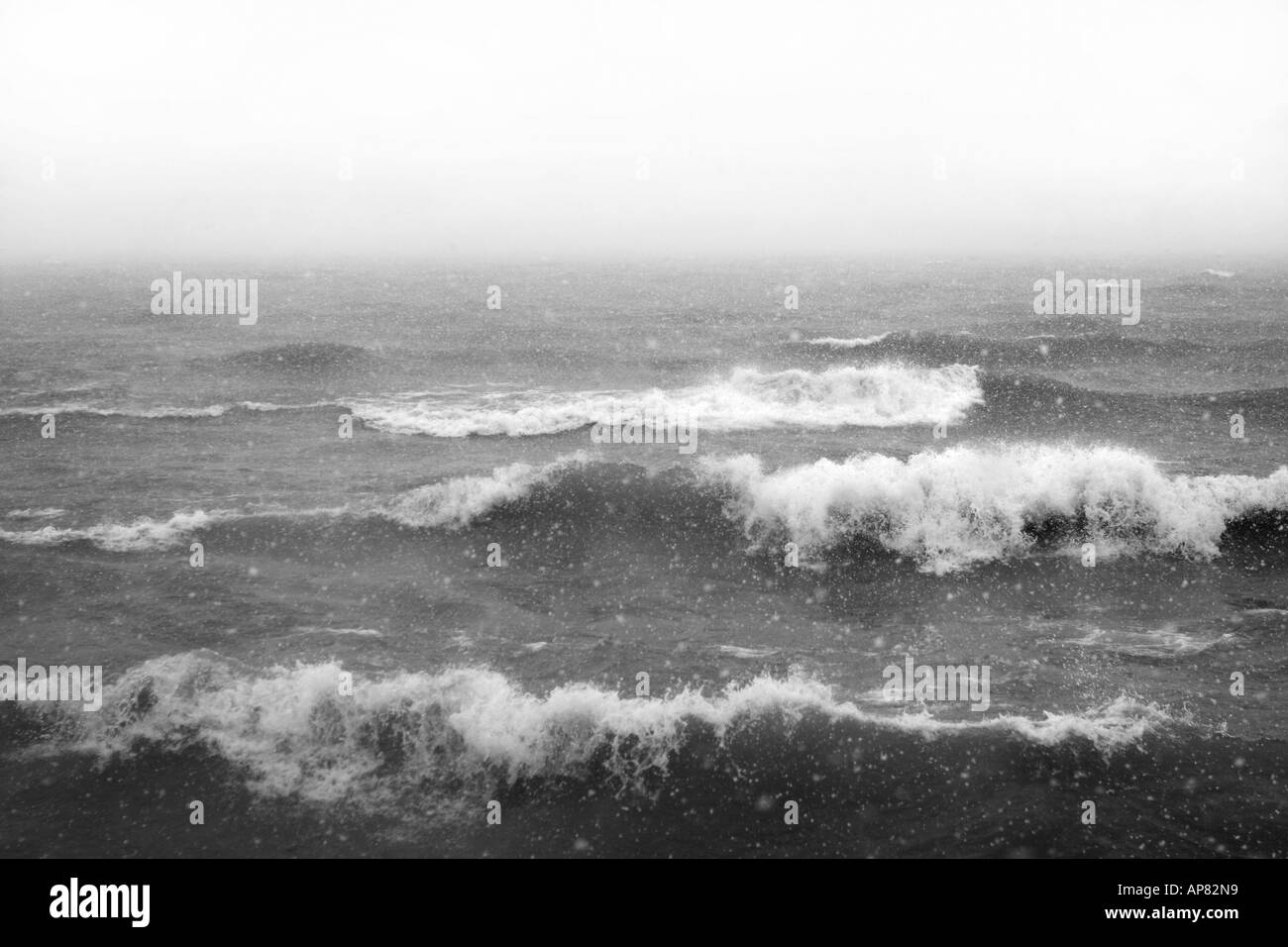 Tempesta di neve sul lago michigan Chicago Illinois grandi laghi lago michigan inverno tempesta di neve tempeste di onde alte snowi acqua Foto Stock