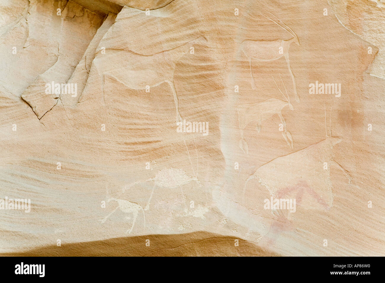 Pecked e incisioni di animali e figure, grotta Mestekawi, Gilf Kebir, dell'Egitto deserto occidentale. Foto Stock