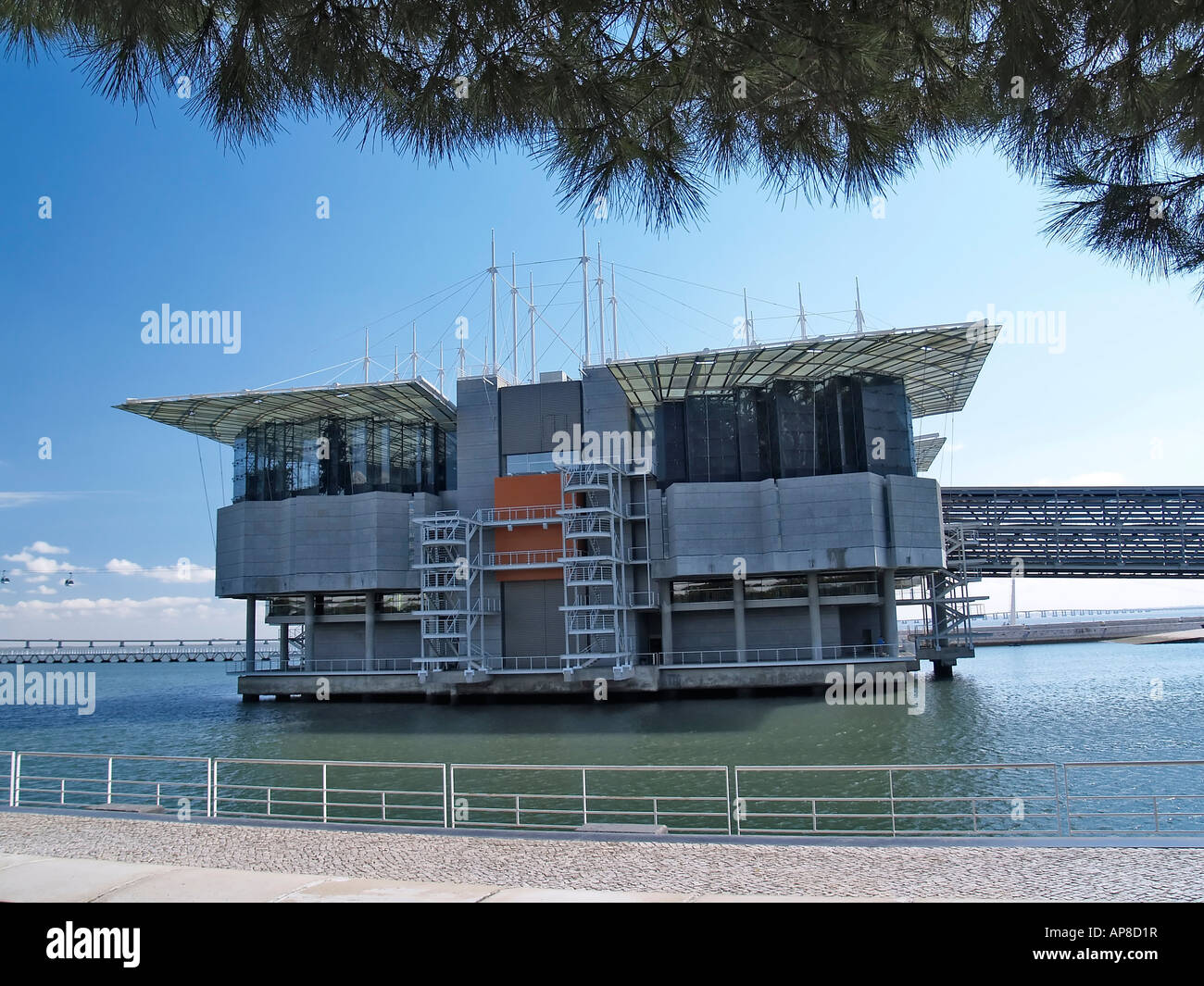 Oceanßrio de Lisboa, Acquario di Lisbona, Parque das Nacoes, Lisbona, Portogallo Foto Stock