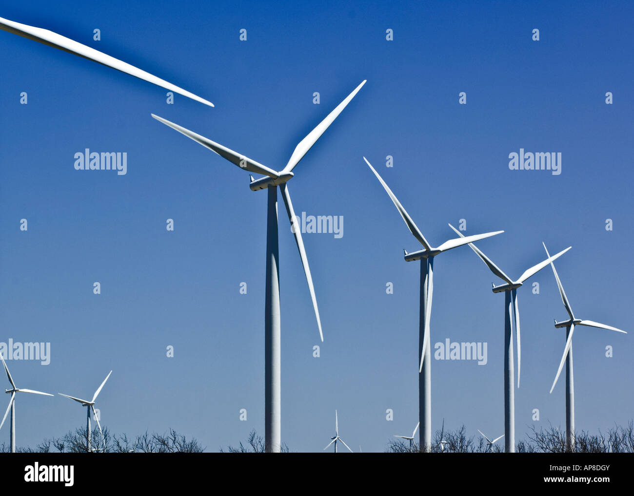 Wind Turbine alimentate sul Texas wind farm sotto un profondo cielo blu. Foto Stock