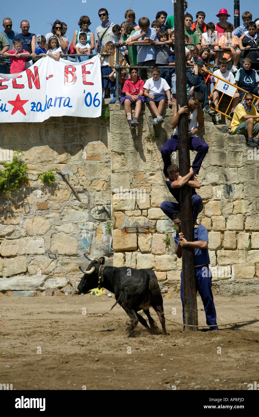 Bull oneri torre umana come spettatori guardano su Sokamuturra bull in esecuzione evento Puerto Viejo Algorta Paese Basco in Spagna Foto Stock