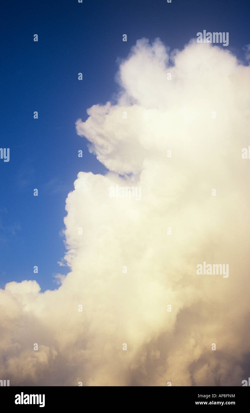 Oro e grigio cumulus nuvole temporalesche raccolta e ondeggianti contro il blu del cielo della sera Foto Stock