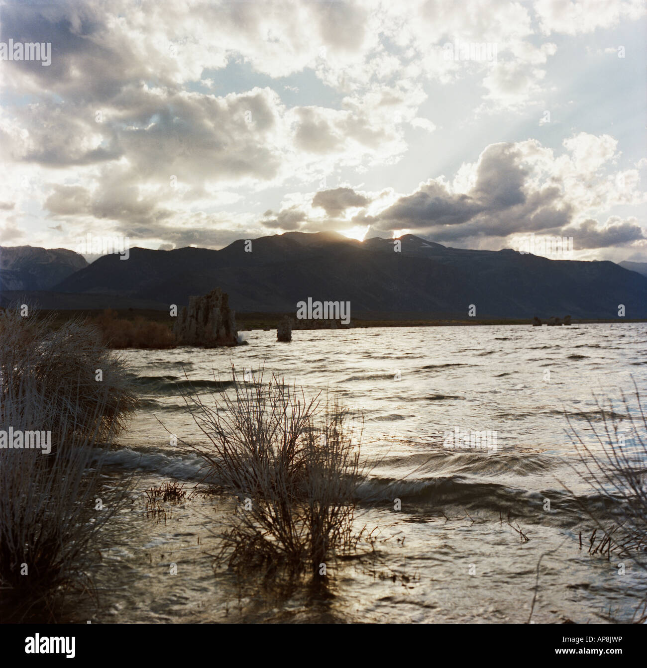 Lago mono all'alba Foto Stock