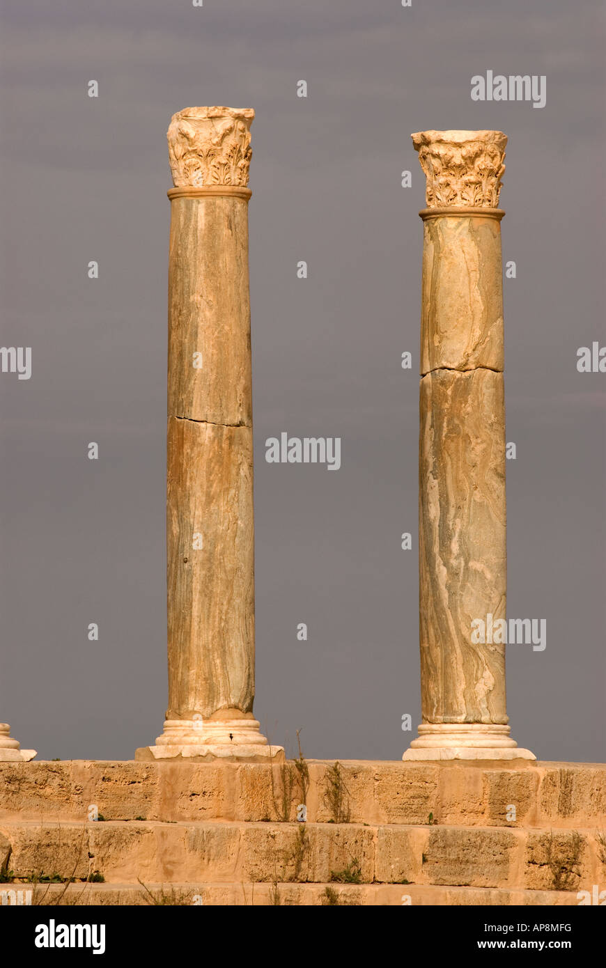 Colonne romane al Teatro, Leptis Magna, Libia, Africa del Nord. Foto Stock