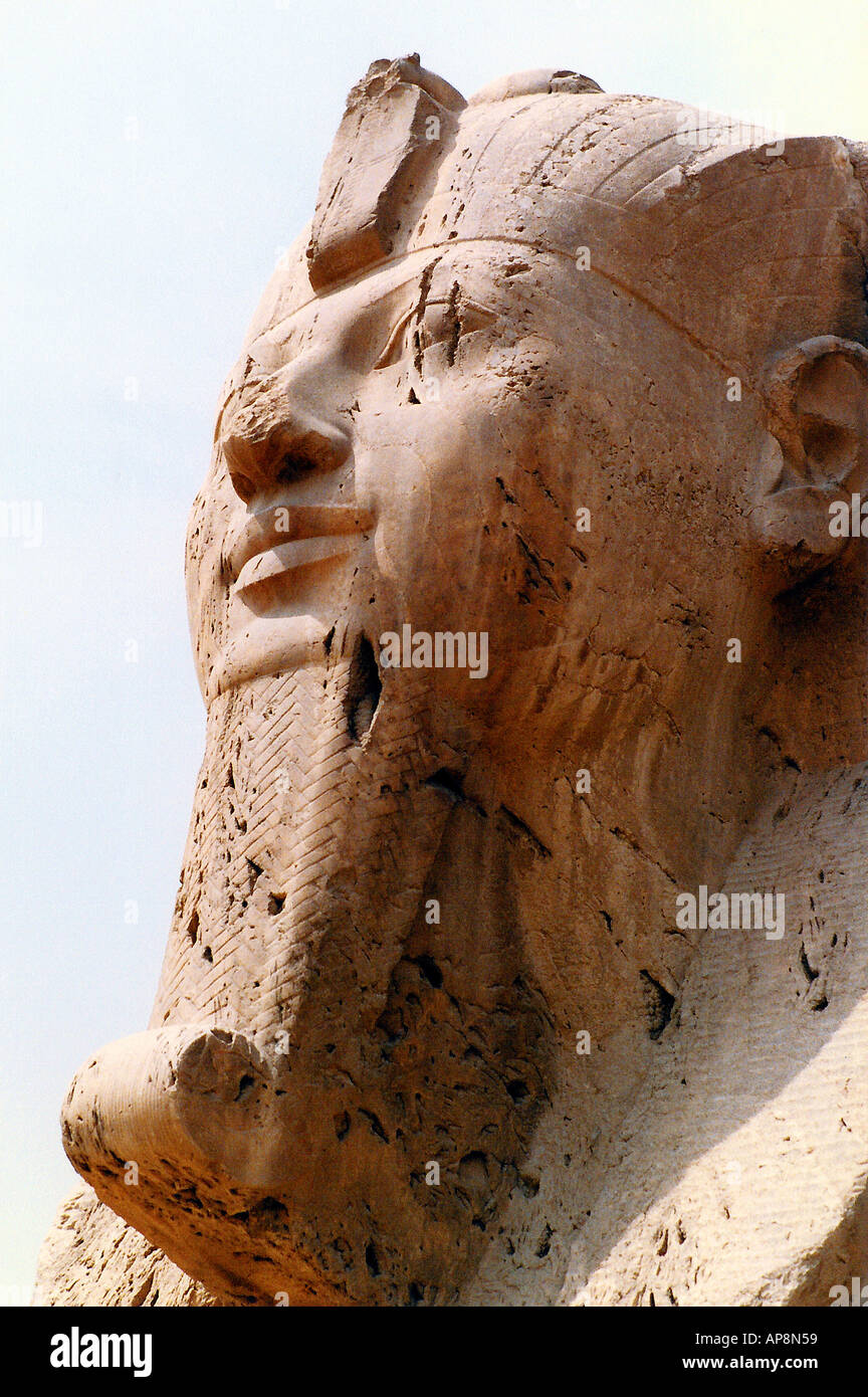 Il Pheonix Sphinx Egitto Foto Stock