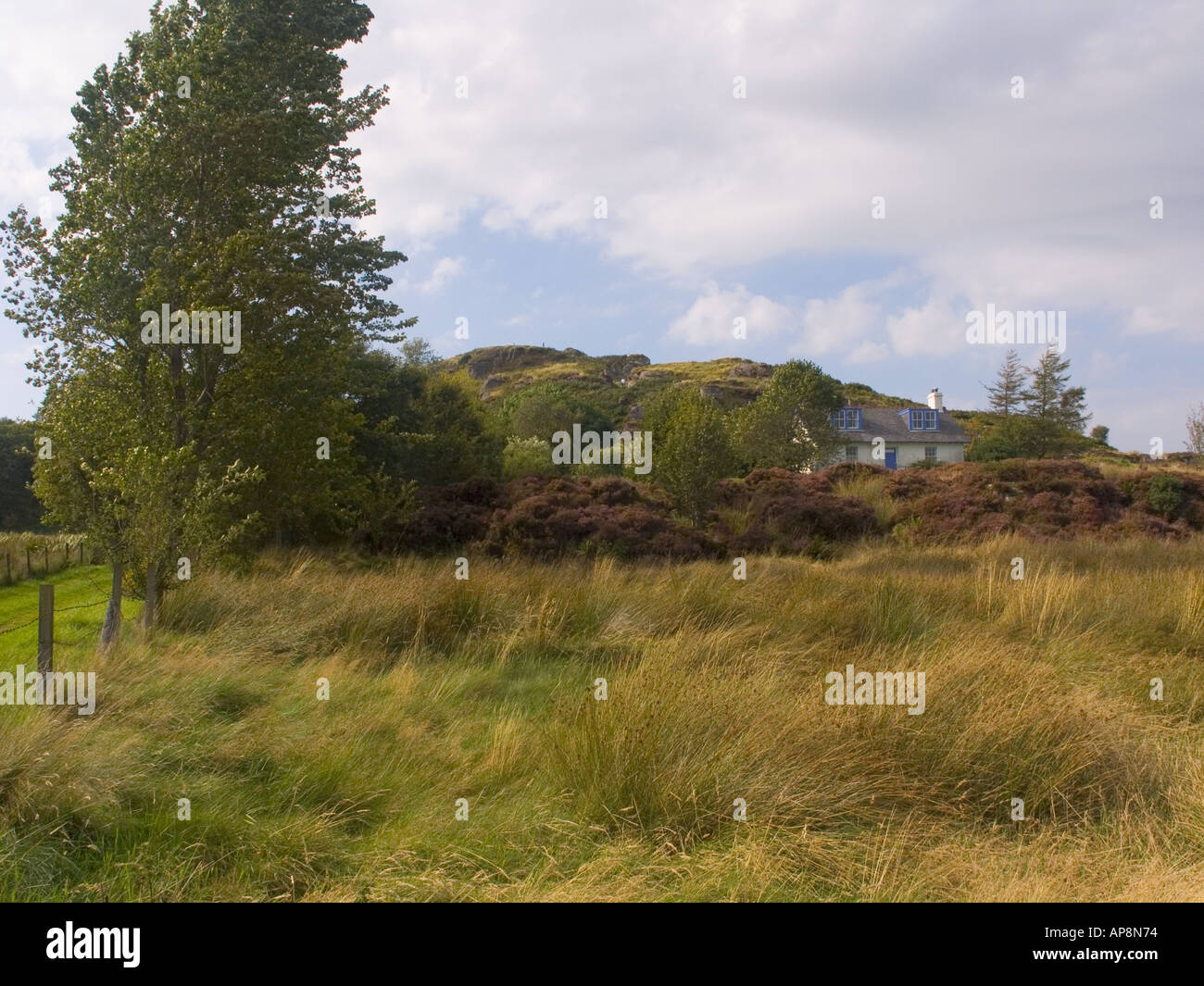 Dunadd hill Fort Argyll Scozia Scotland Foto Stock