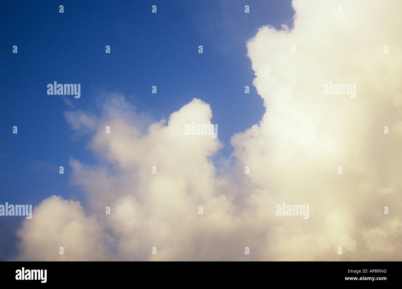 Oro e grigio cumulus nuvole temporalesche raccolta e ondeggianti contro il blu del cielo della sera Foto Stock