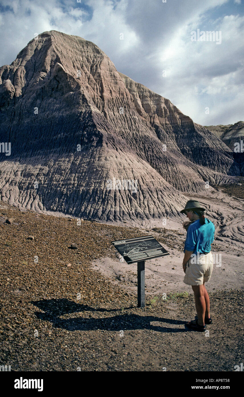 Turista femminile guardando un parco informazioni segno Blue Mesa parco nazionale della Foresta Pietrificata in Arizona USA Foto Stock