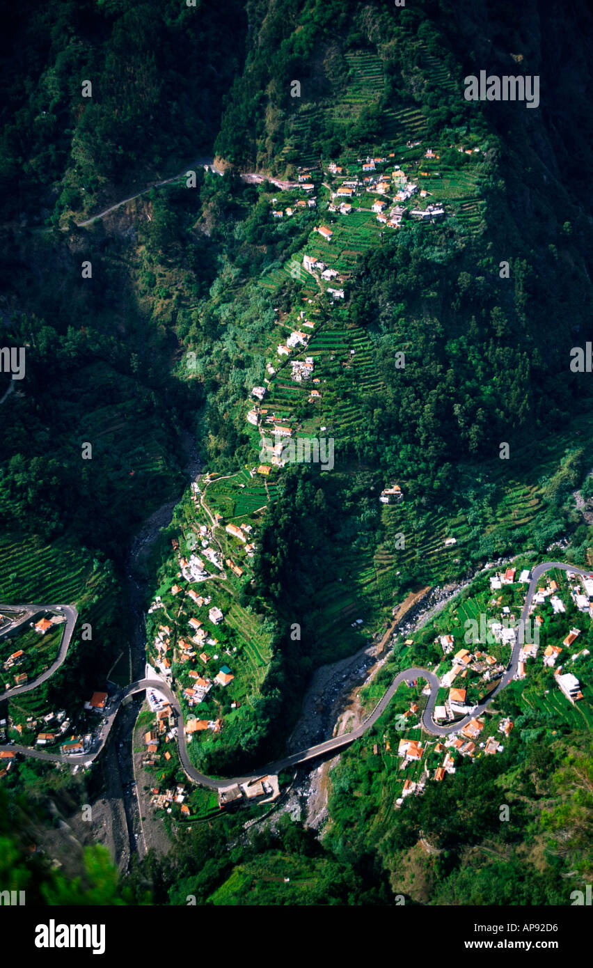 Terrazze sui ripidi fianchi di una valle sulla montagna di Madera Foto Stock