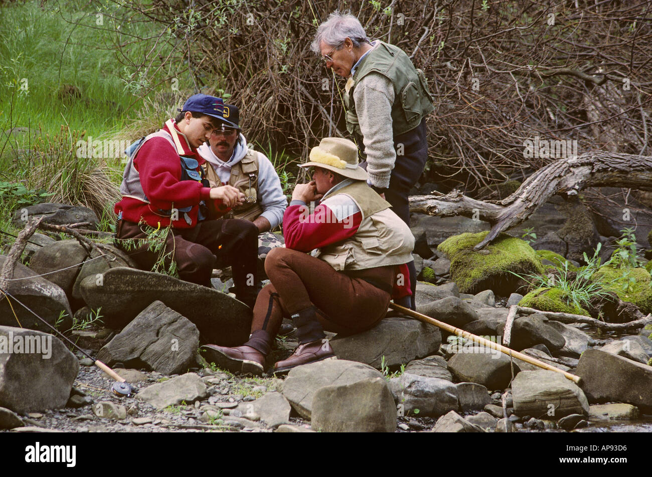 Scuole di Pesca a Mosca Report di Pesca a Putah Creek California settentrionale Foto Stock