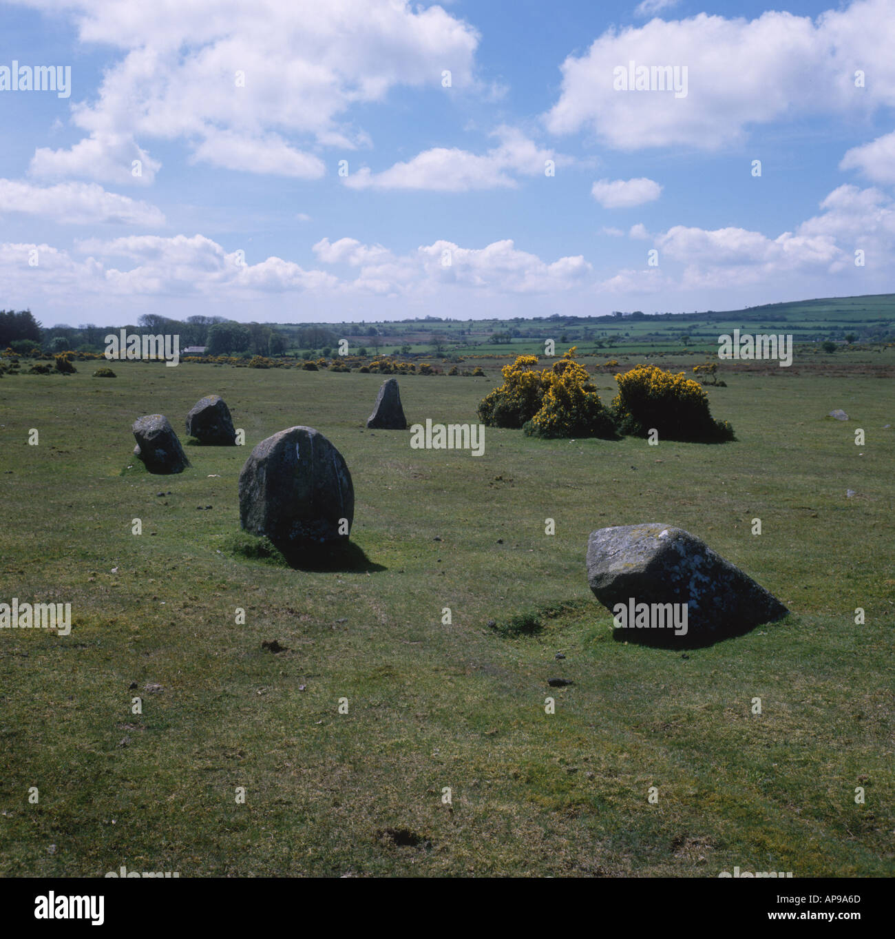 Gors Fawr Stone Circle Mynachlogddu Preseli Hills Dyfed Regno Unito Galles JCB Foto Stock