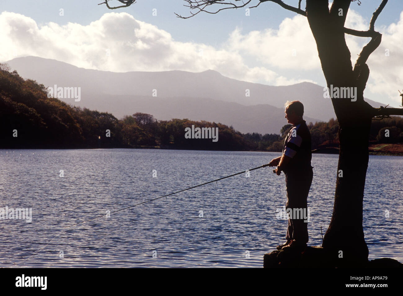 La pesca sul lago di Llyn Cynwch Dolgellau Galles Gwynedd UK DW1 Foto Stock