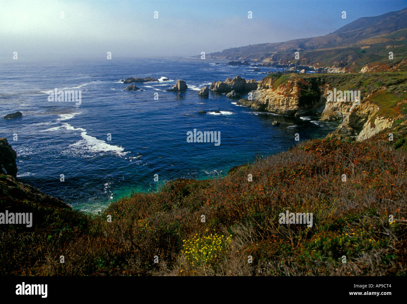 Sentiero escursionistico, coste, Oceano Pacifico, Highway 1, Big Sur, Monterey County, California, Stati Uniti Foto Stock