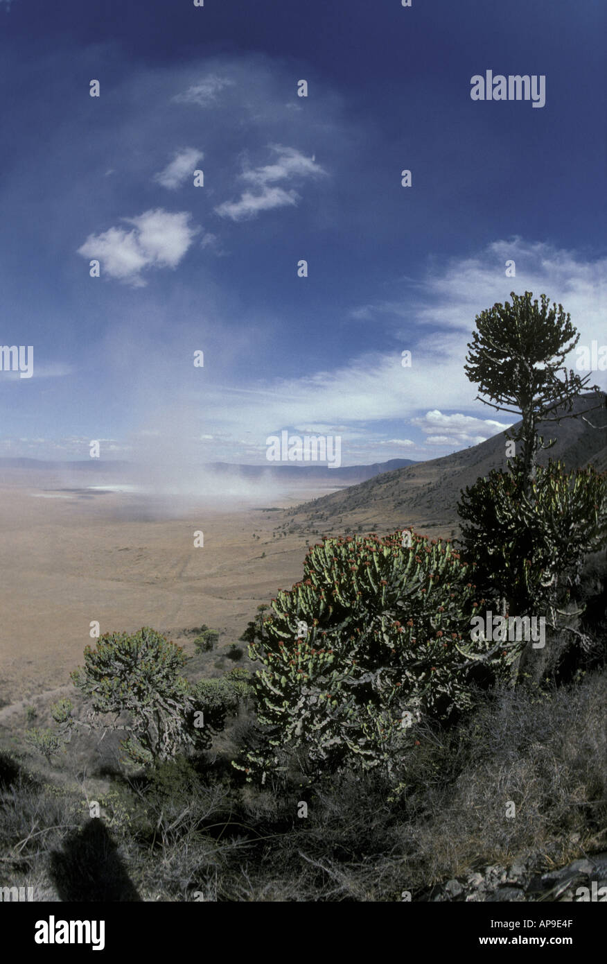 Cratere di Ngorongoro Tanzania settentrionale Foto Stock