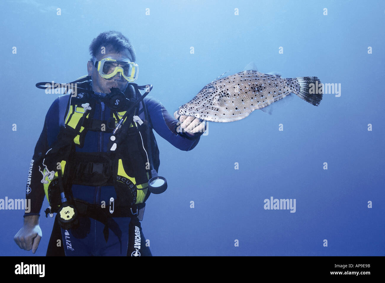 Scuba Diver giocando con il pesce Foto Stock
