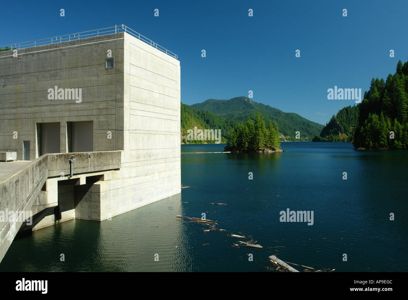 AJD51049, Willamette foresta nazionale o, Oregon, la cascata di gamma, West Cascades Scenic Byway, Cougar Dam, serbatoio, lago Foto Stock