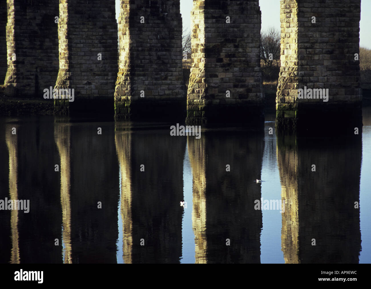 Acqua riflessioni dal viadotto ferroviario costruito da Robert Stevenson a Berwick upon Tweed stazione ferroviaria Foto Stock