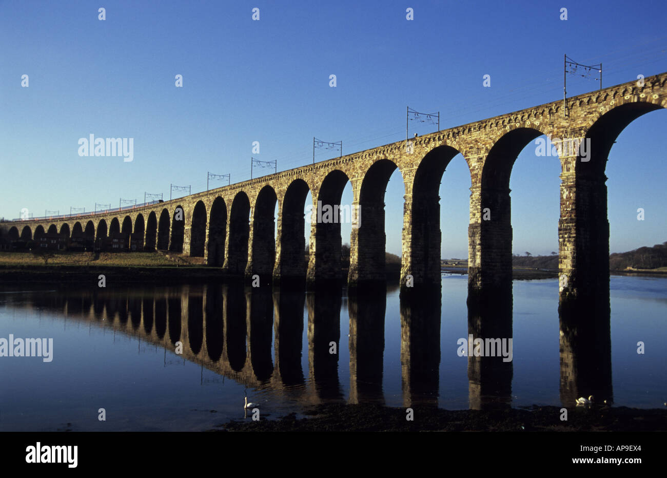 Viadotto ferroviario costruito da Robert Stevenson a Berwick upon Tweed stazione ferroviaria Foto Stock