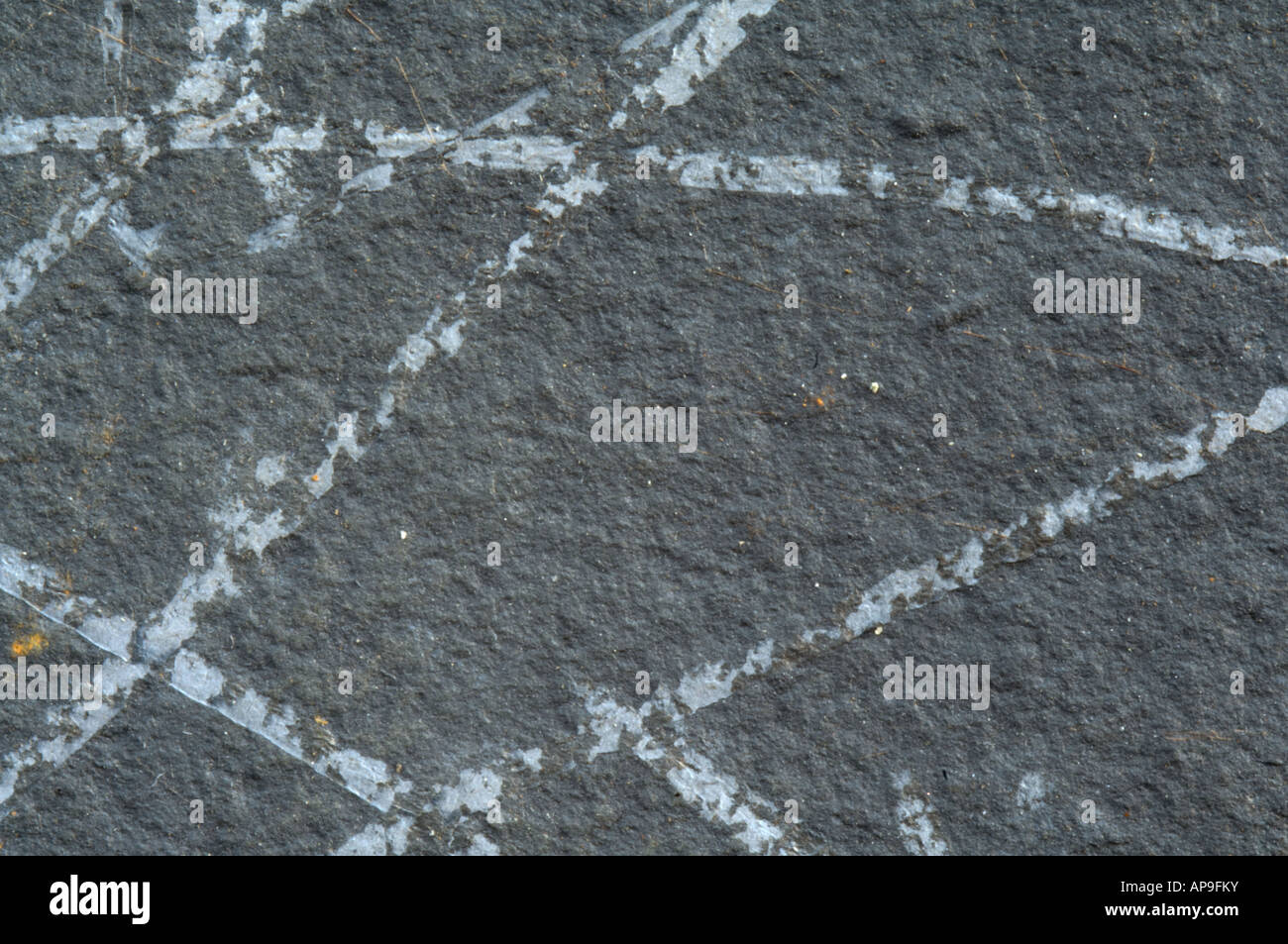 I graptoliti da Dobbs's Linn, a est di Moffat, Regno Unito Foto Stock