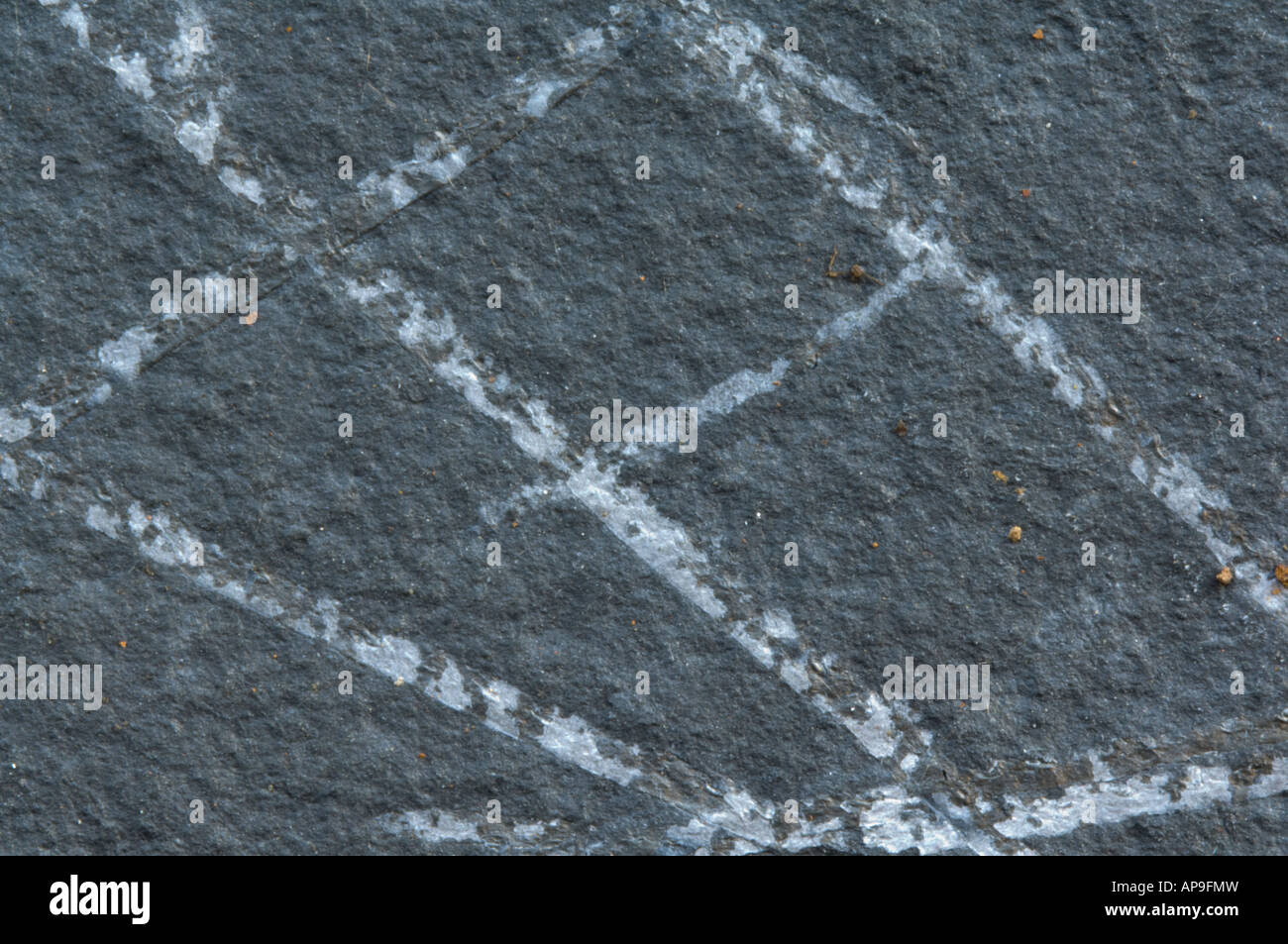 I graptoliti da Dobbs's Linn, a est di Moffat, Regno Unito Foto Stock