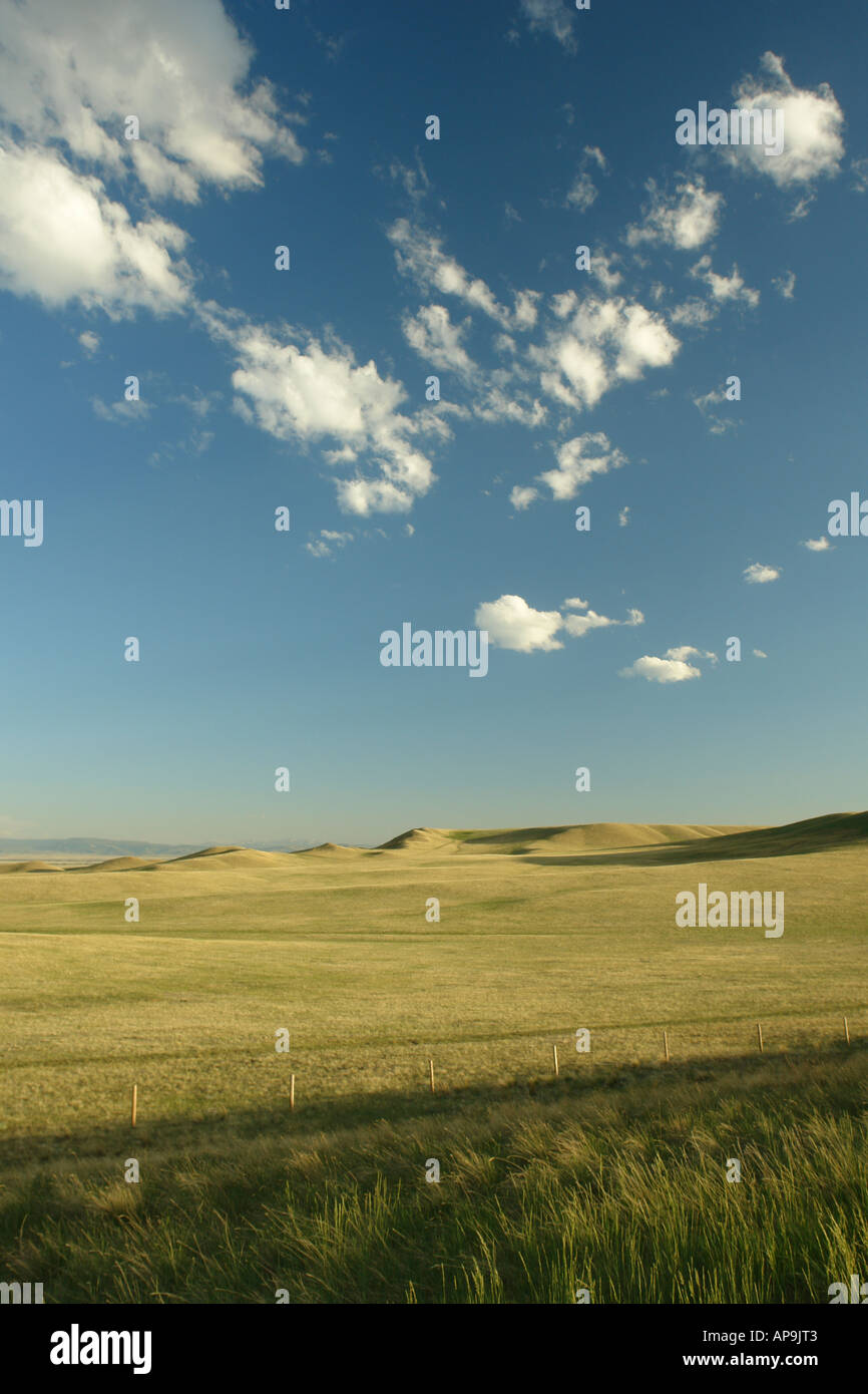 AJD50342, Albany County, WY, Wyoming prairie, gamma open Foto Stock