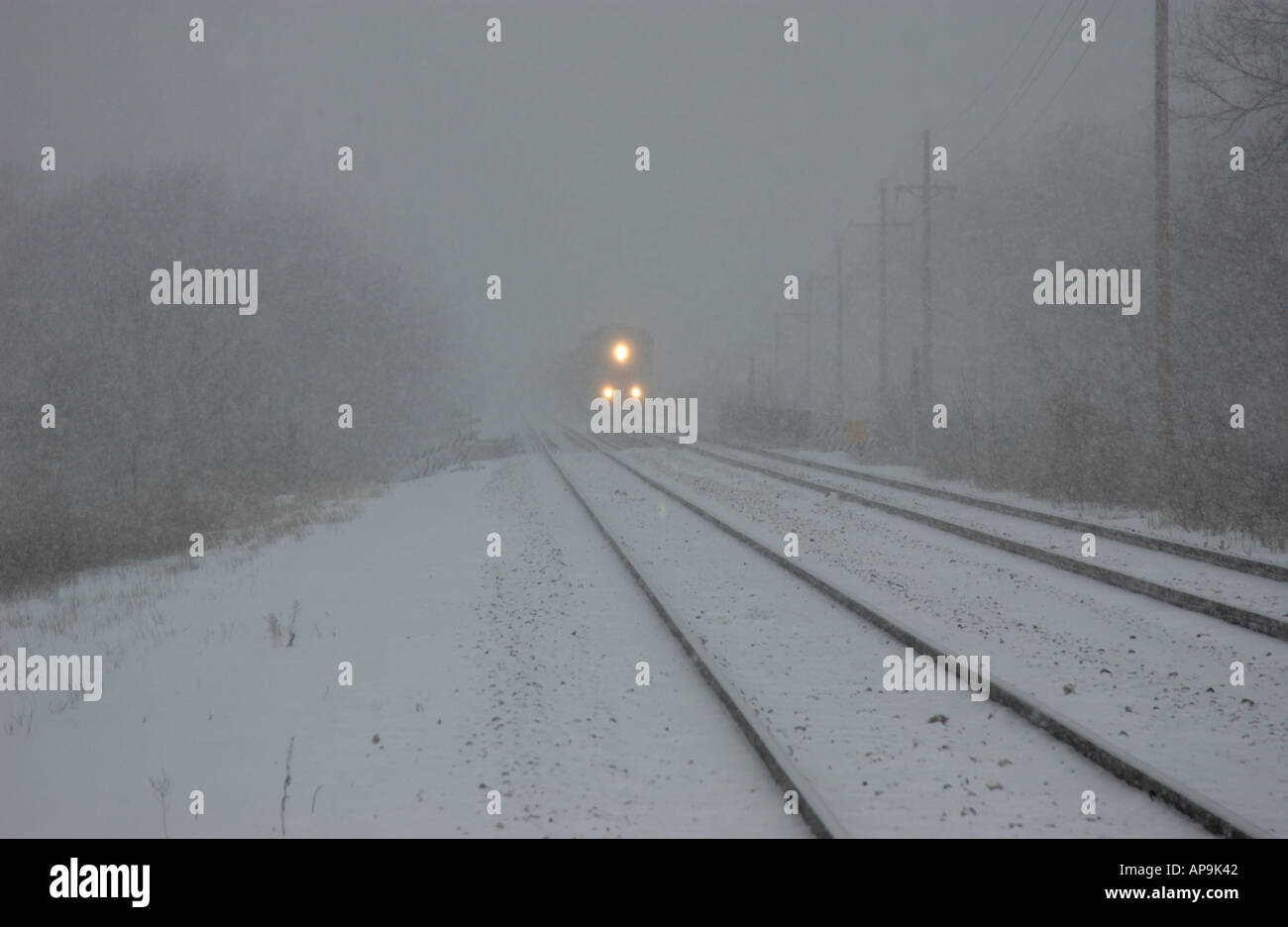 Ferrovia Strada treno motore proviene dalla distanza attraverso la nebbia di mattina Foto Stock