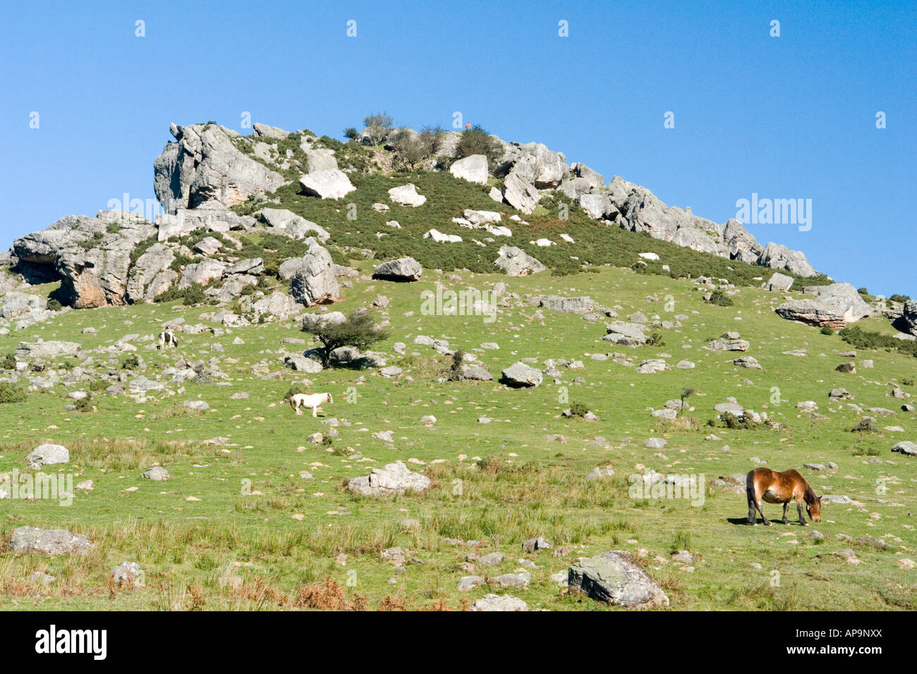 Montare Mondarrain in Atlantico Pirenei (Francia). Le Pic du Mondarrain dans les Pyrénées Atlantiques (Francia). Foto Stock