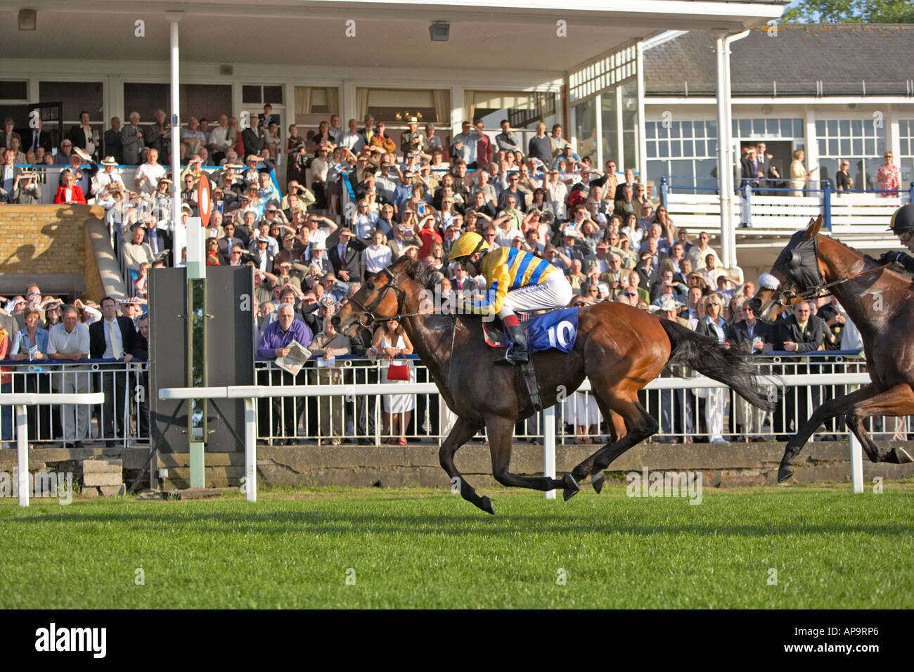 Ai cavalli da corsa che attraversano la linea vincente a Windsor Royal Racecourse Foto Stock