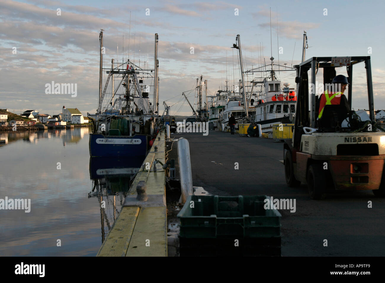 Lo scarico di pesce proveniente da pescherecci sulla banchina del porto di Twillingate, Terranova, Canada Foto Stock