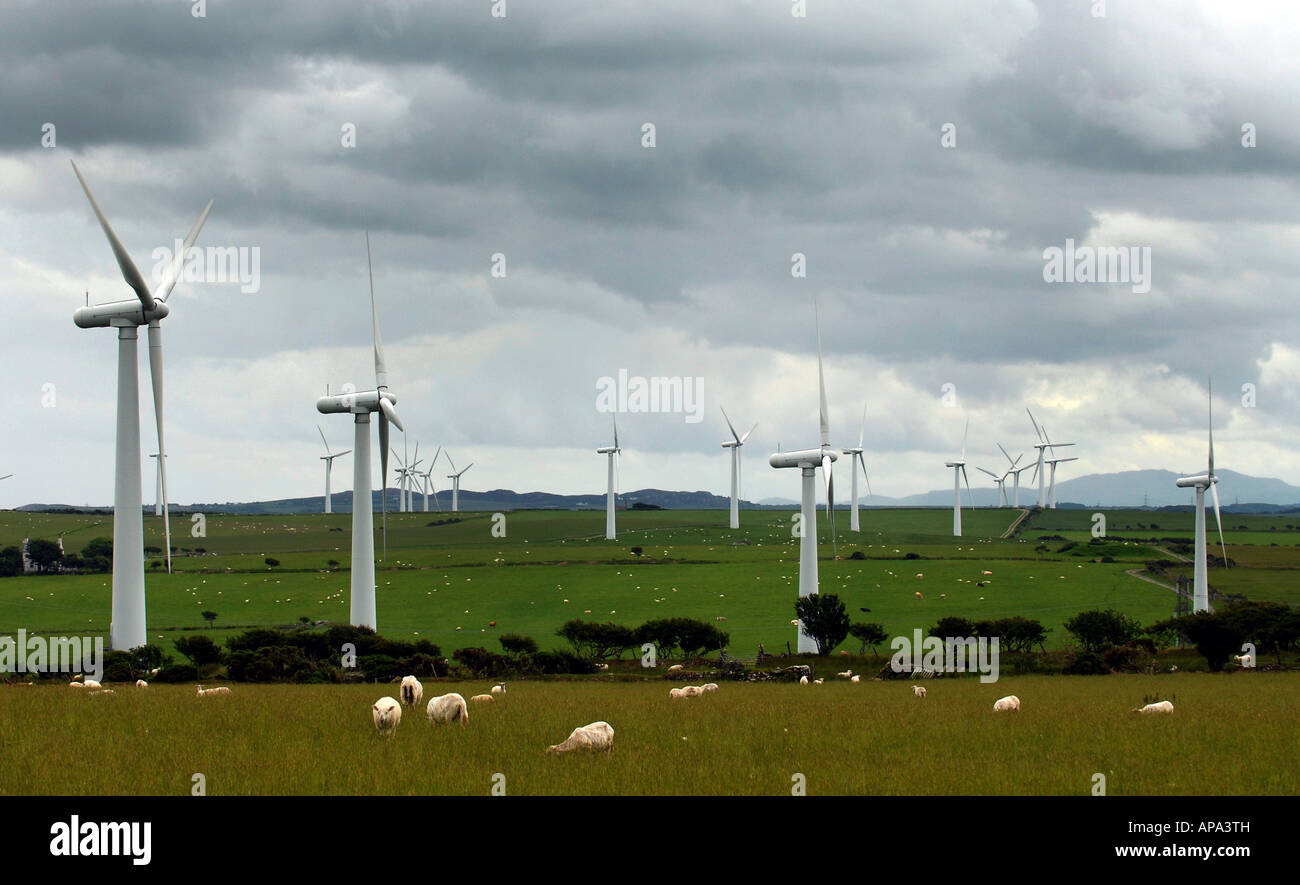 Una centrale eolica in campi di Anglesey North Wales,GRAN BRETAGNA.UK Foto Stock