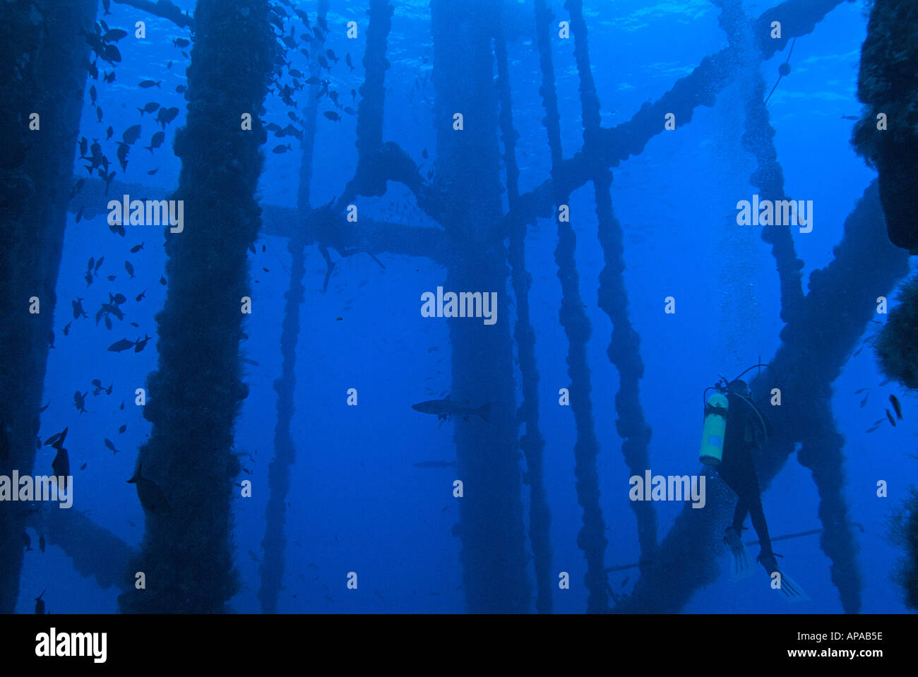 Le gambe di un impianto di perforazione nel Golfo del Messico, off Texas Foto Stock