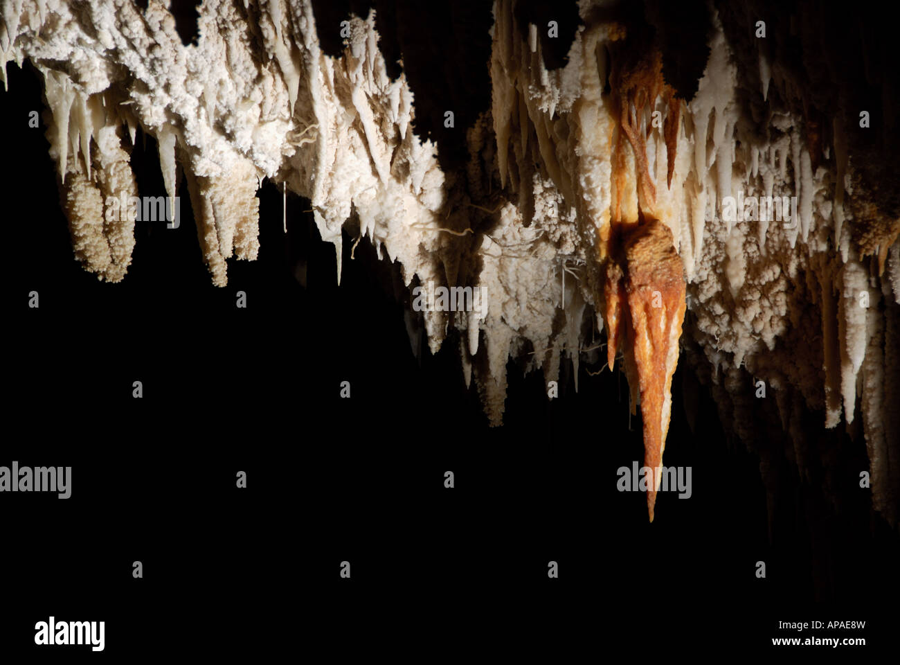 Un gruppo di stalattiti in Jewel Grotta, Australia occidentale Foto Stock