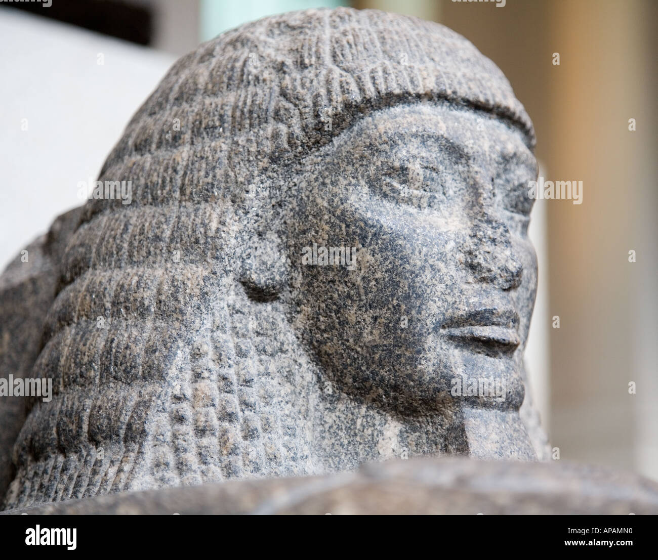 Busto di Nefertiti il British Museum di Londra UK Europa Foto Stock
