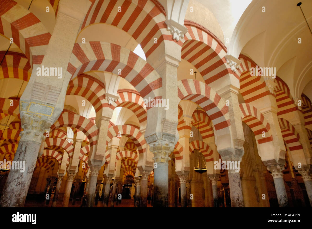 Soffitti all'interno della Catedral de Cordoba, un ex moschea medievale, Cordoba, Andalusia, Spagna. Foto Stock